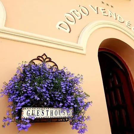 Guest house Dobo Vendeghaz *